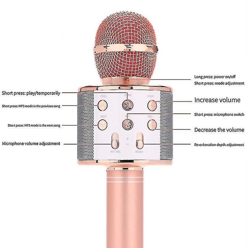 Wireless%20Portable%20Handheld%20Microphone%20With%20Speaker%20and%20Voice%20Changing%20Feature%20For%20Kids%20and%20Toddlers%20-%20S50900%20-%20Image%204