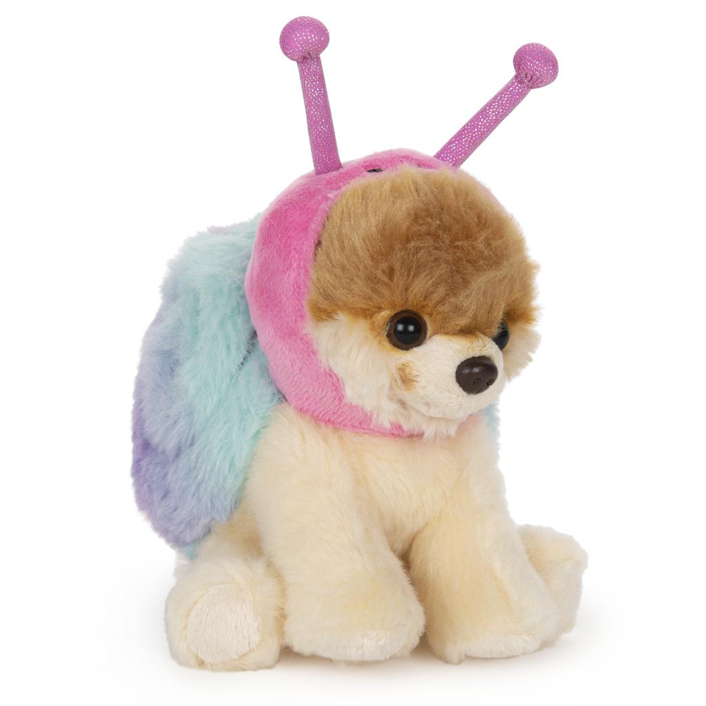 boo the dog teddy