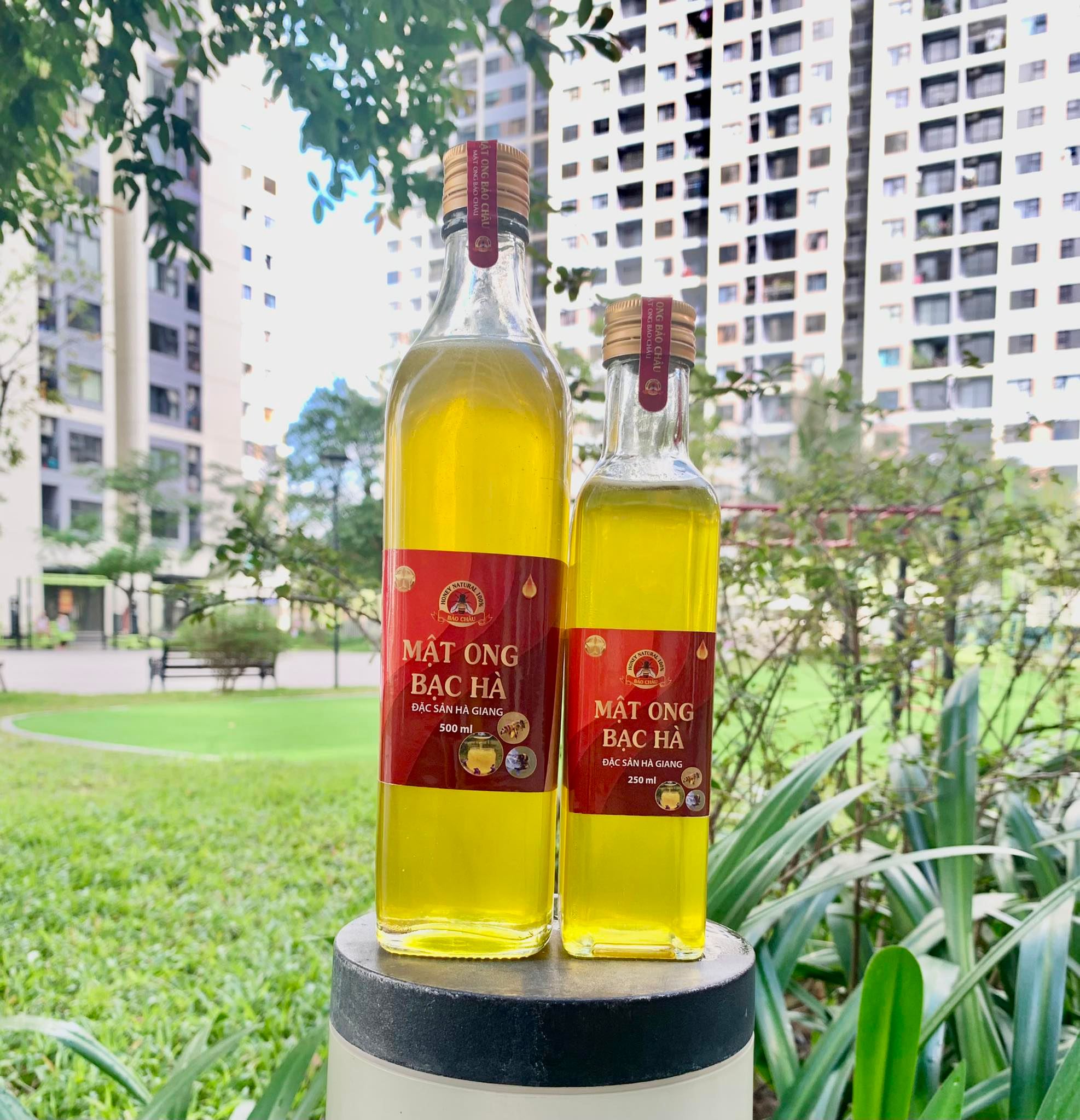 Mật ong
