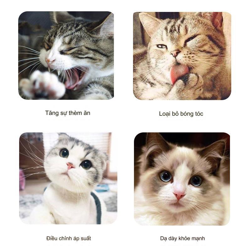 Cỏ bạc hà mèo khô Catnip cho mèo