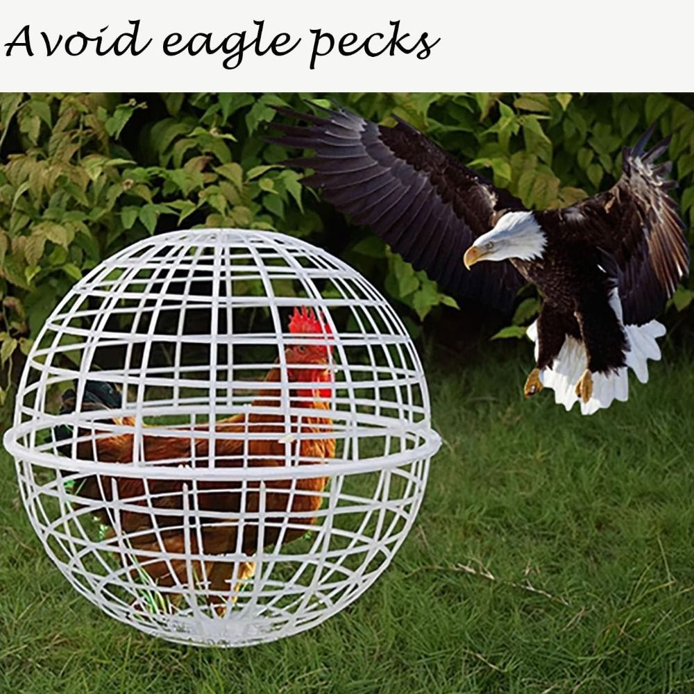 Horse%20Trampling%20Movable%20Chicken%20Balls%20Cage%20for%20Outside%20Portable%20Ventilated%20Chicken%20Ball%20Cage%20Round%20Hutch%20Backyard%20Farms%20-%20Image%204