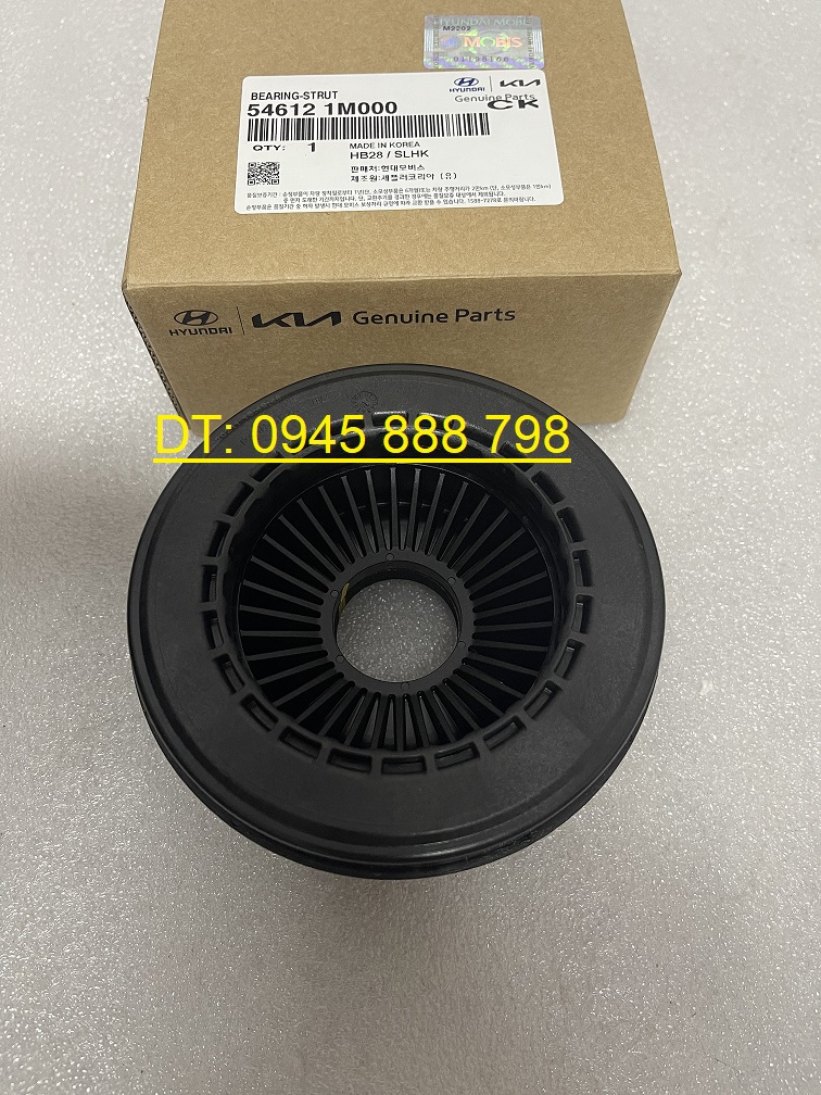Bi bát bèo giảm sóc trước Kia Forte