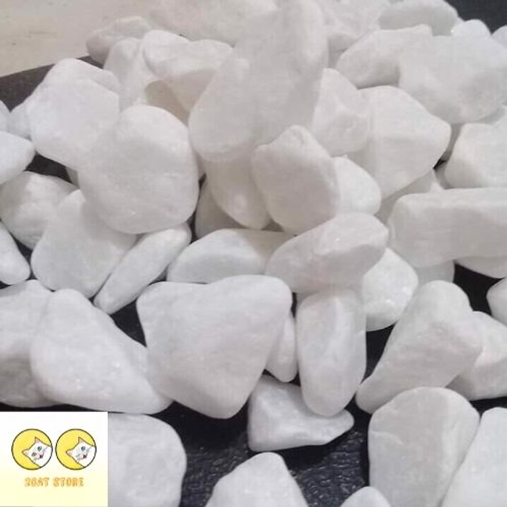 1kg bịch sỏi trắng viên vừa trang trí hồ cá - phụ kiện bể cá