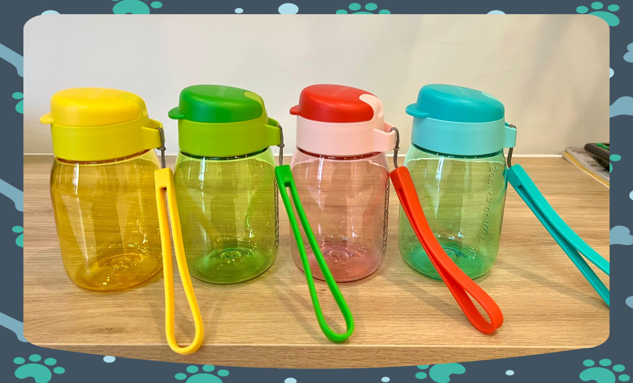 Bình Nước Tupperware Mini Lohas 350ml