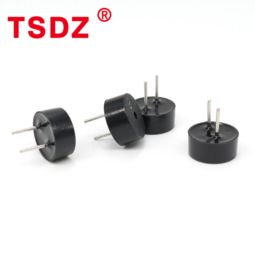 10pcs%20Passive%20Buzzer%209042%2016ohm%2042%20Ohms%20AC%203V%203.3V%209*4.2mm%209x4.2mm%2016R%20Mini%20Electromagnetic%20Buzzers%20For%20Arduino%20DIY%20Electronic%20-%20Image%206