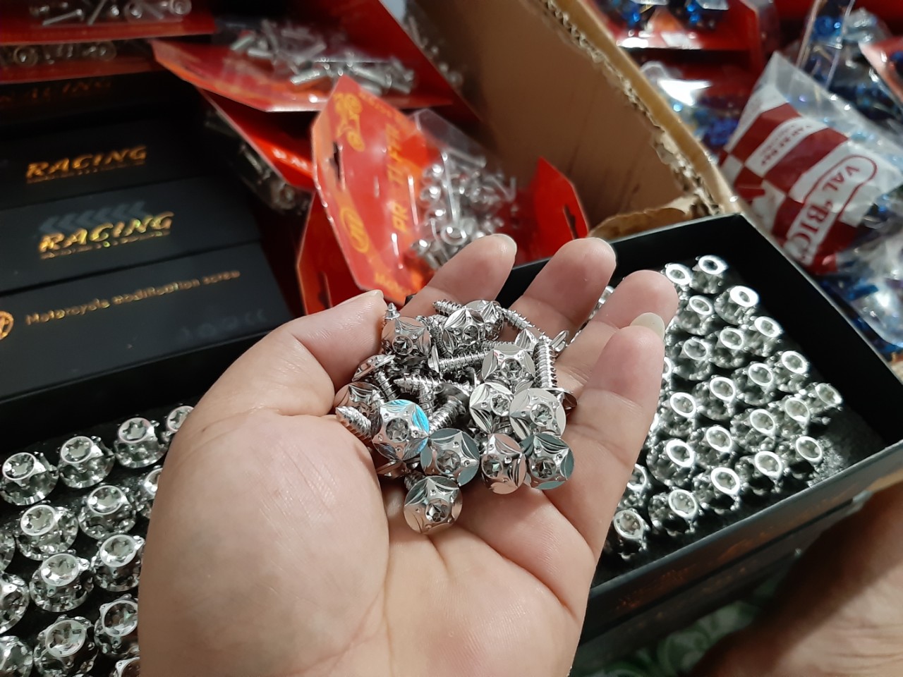 [HCM]ốc áo ex 2010 salaya 40con