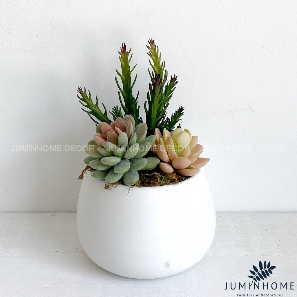 Cây giả Decor - Chậu sen đá hạt dẻ mini Decor trang trí để bàn