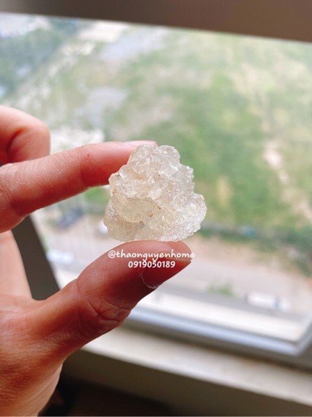 Tuyết Yến Vân Nam Hàng Chọn ( Yến Thực Vật)