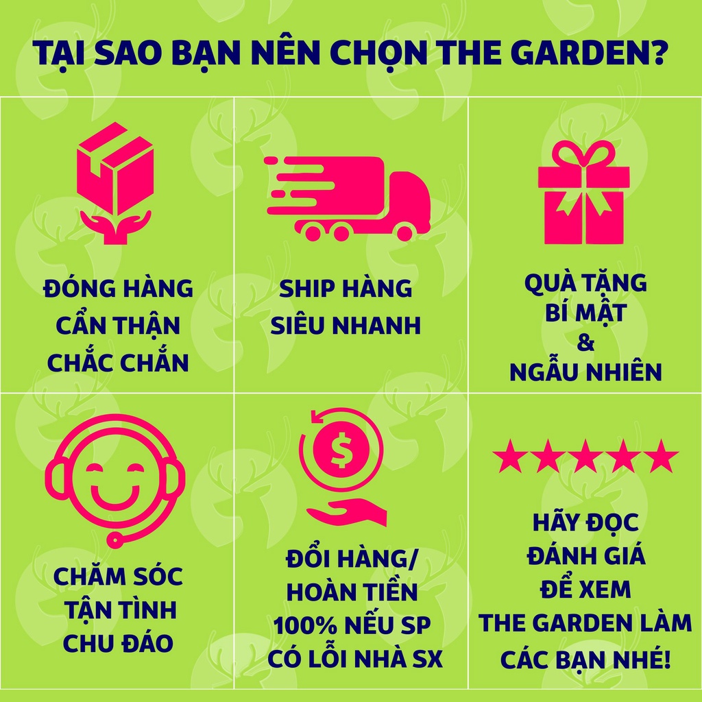 Set Milo Dầm Trân Châu Pudding Trứng Pudding Socola THE GARDEN