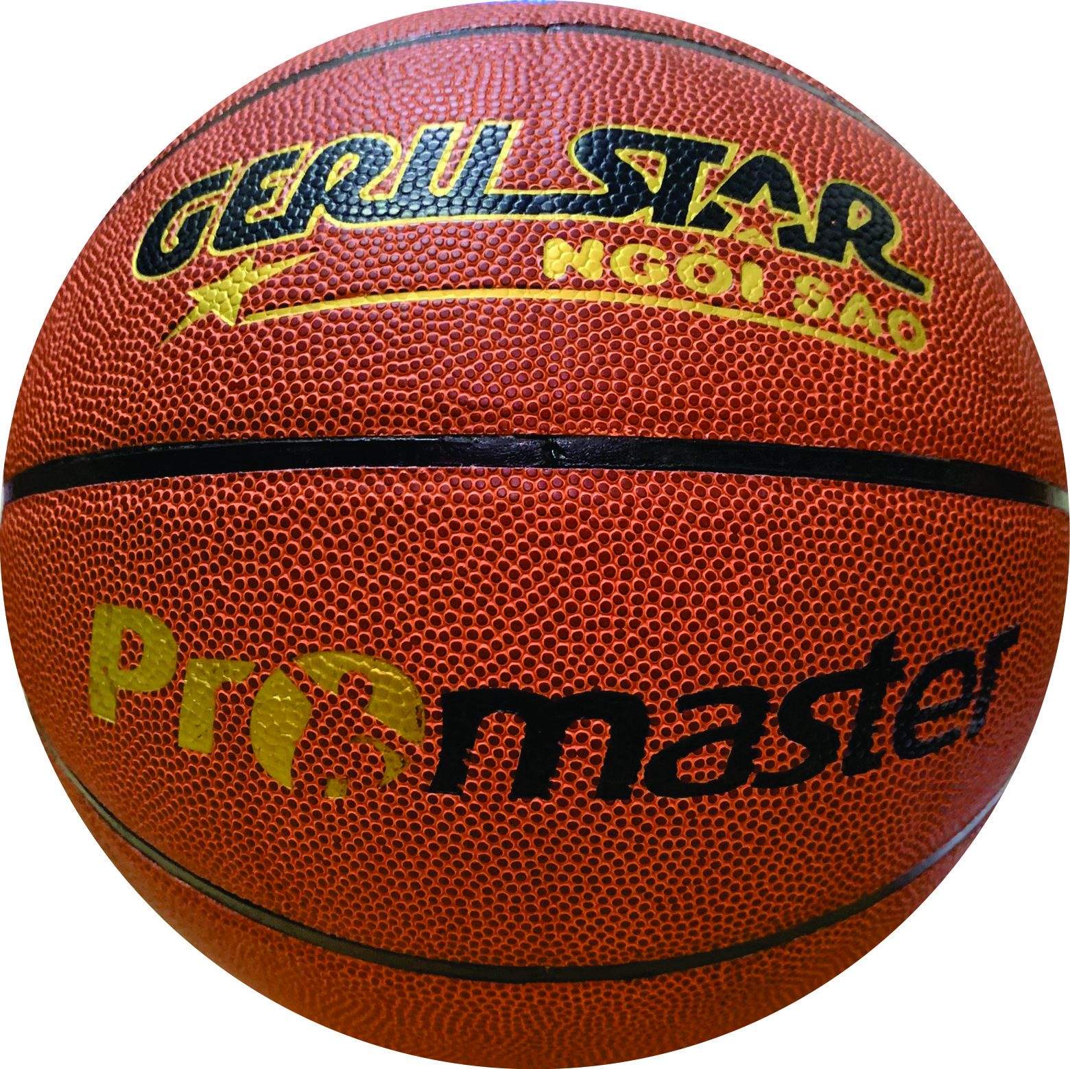 Bóng rổ thi đấu PROMASTER GERUSPORT