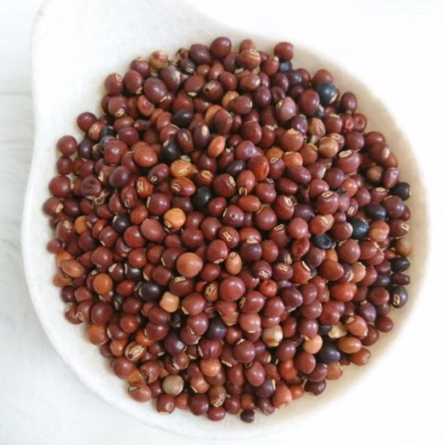 Hạt giống cây đậu săng ( còn được gọi là đậu triều, đậu chiều, mộc đậu, đậu chè )-gói 500gram
