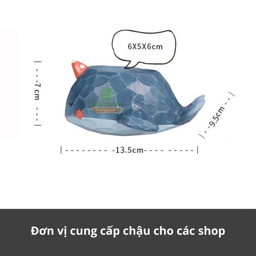chậu cây hình cá voi xanh