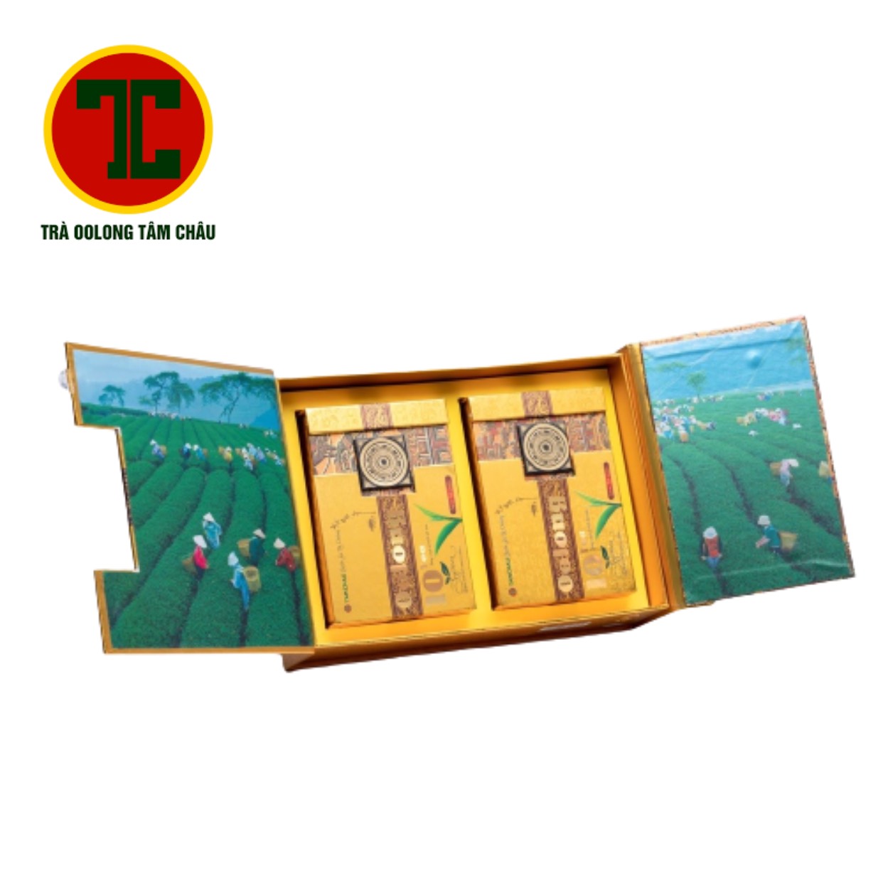 [HCM]TRÀ Ô LONG (OOLONG) 10 TEA TÂM CHÂU SET 320G