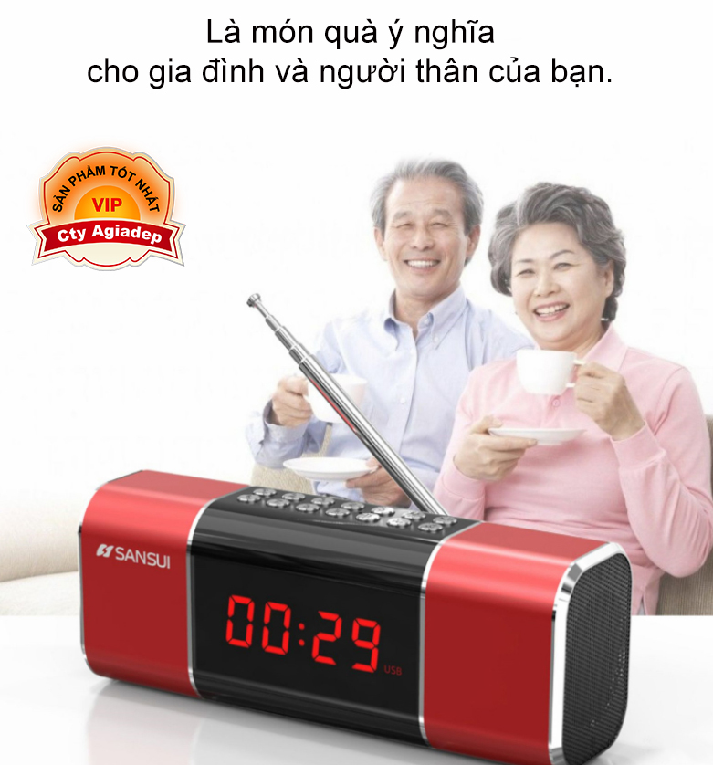 Loa bluetooth hàng hiệu SANSUI Nhật Bản D11