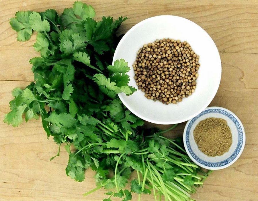 Hạt mùi ta (Hạt ngò) 100g - Aminoshi