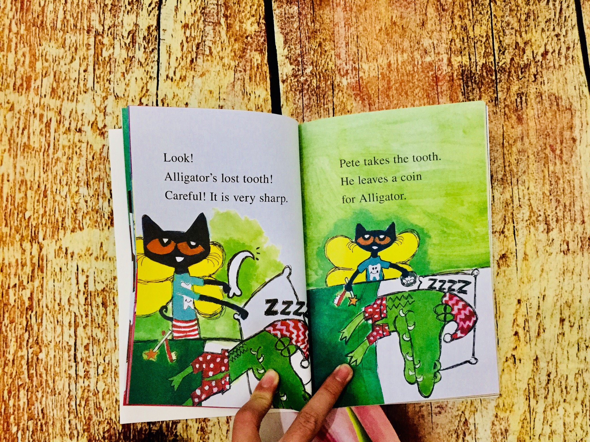 I Can Read Pete The Cat 28q