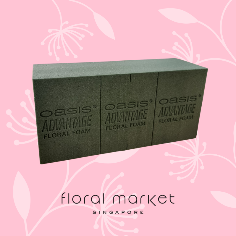 [Local Stock] Oasis Advantage - Floral Foam - Quality Flower Sponge ...