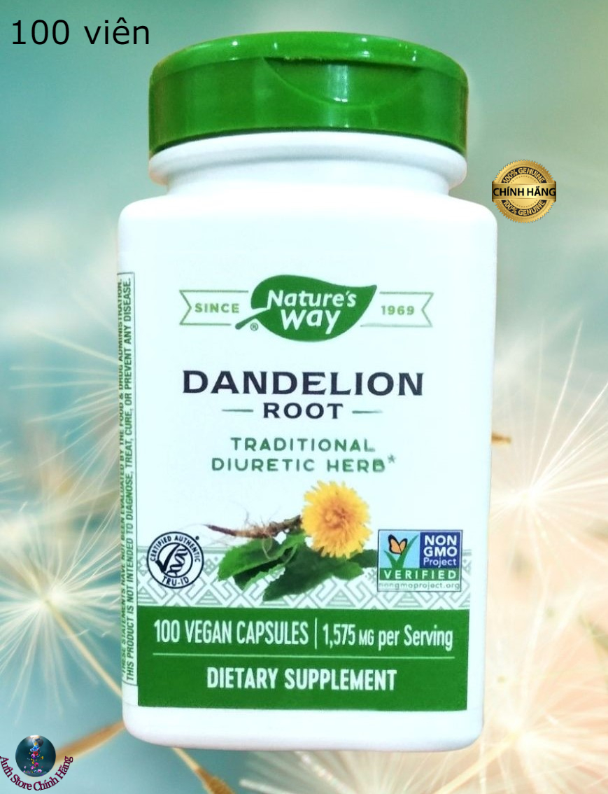 Rễ bồ công anh Dandelion Root Nature’s Way