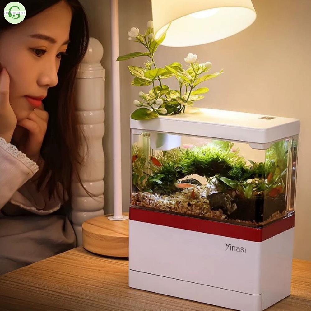 Bể Cá-[Bể cá+Đồng Hồ + Đèn Bàn + Sỏi, Cây Thủy Sinh]-Bể cá mini-Bể cá để bàn-hồ cá