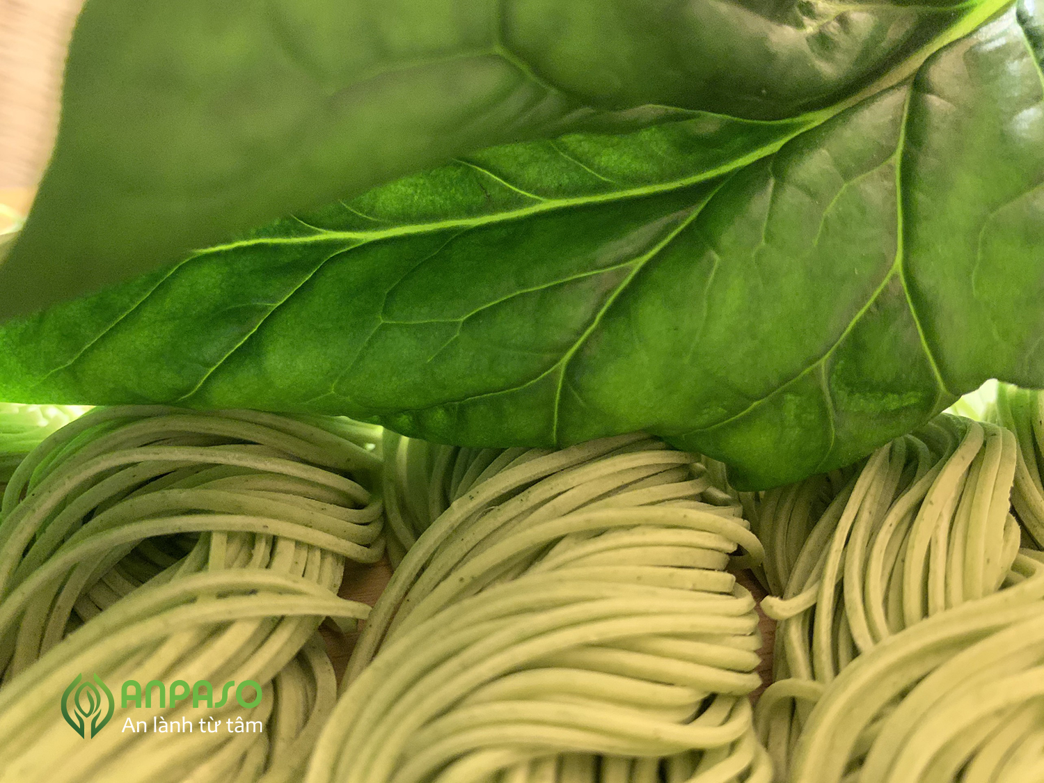 Mì Rau Củ Hữu Cơ Organic ANPASO 300g