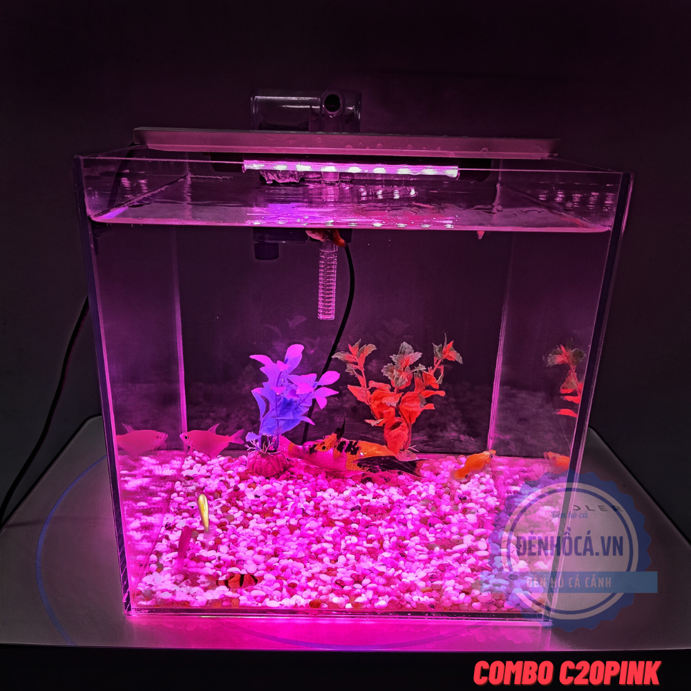 [Hoàn Tiền 10%] Hồ cá mini CUBIC 25cm để bàn