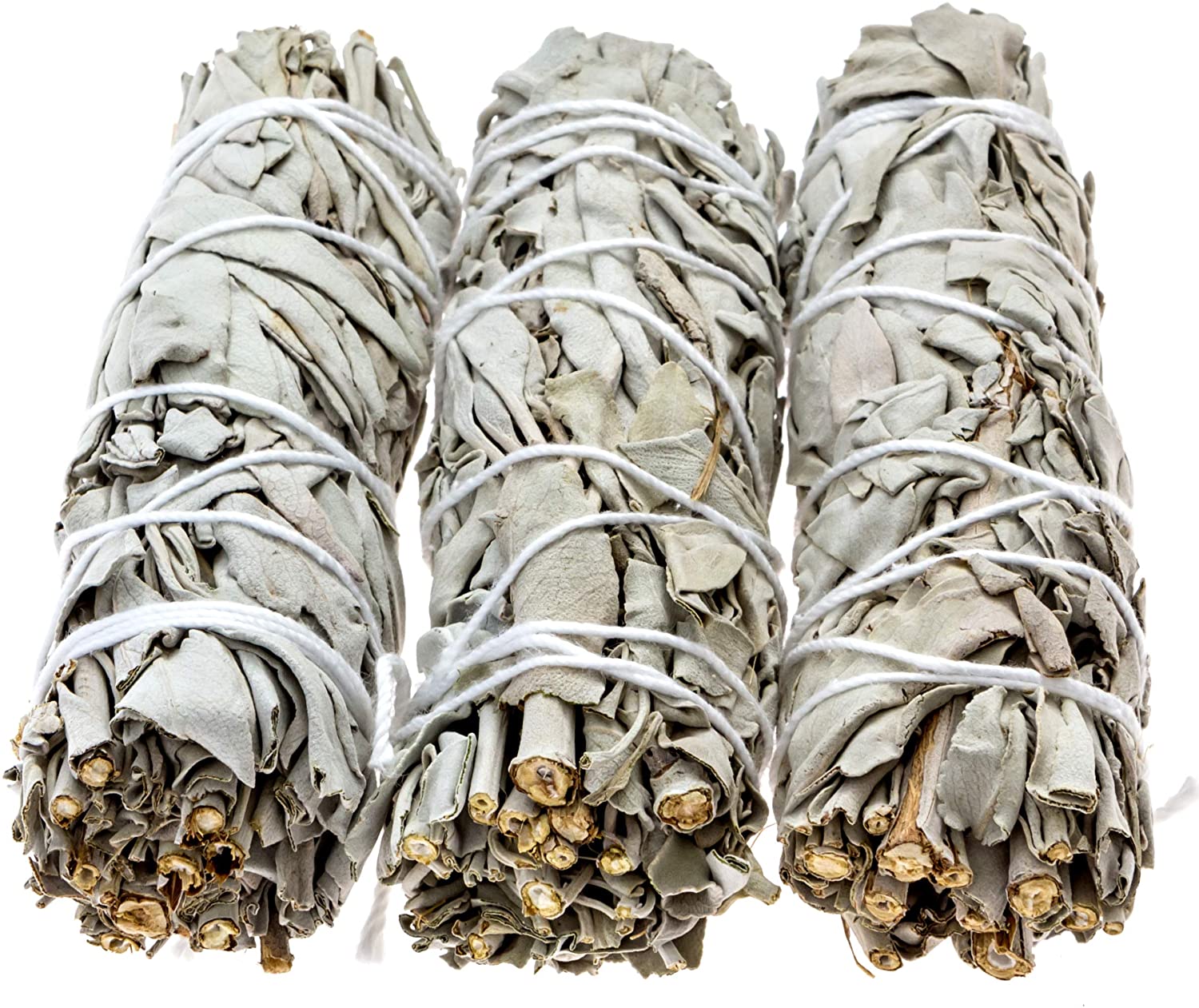 [White Sage] Xô Thơm Trắng giúp thanh tẩy nhà cửa