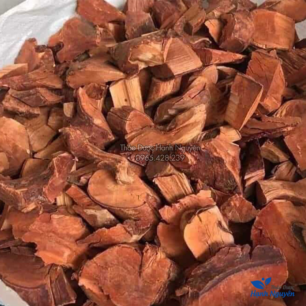 Mú từn 500g (Hàng loại 1, khô, sạch)  - Thảo Dược Hạnh Nguyên