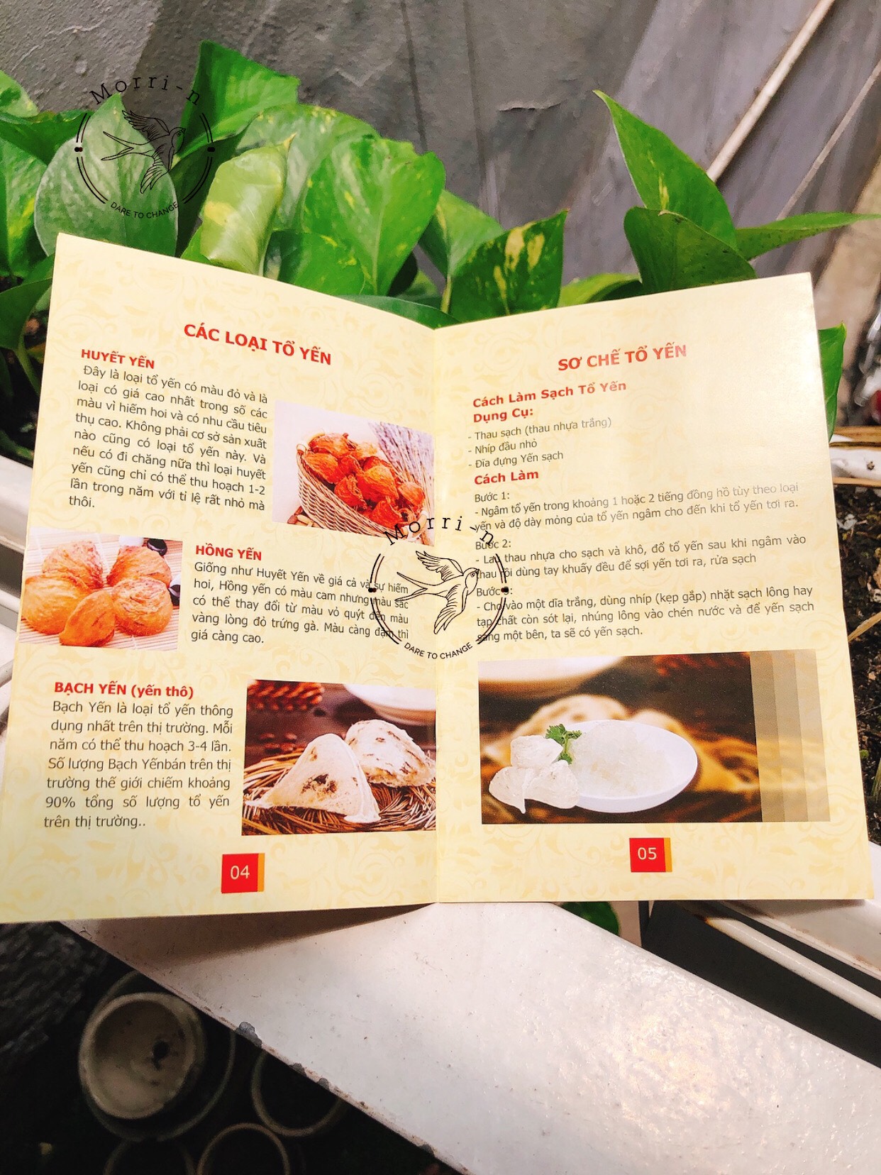CUỐN CẨM NANG YẾN SÀO CAO CẤP BẢN ĐẸP