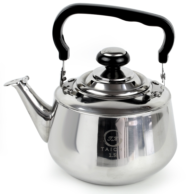 White stainless deals steel kettle