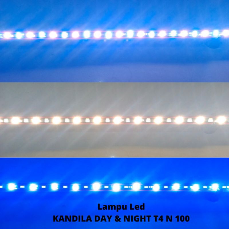 Lampu Led Celup Aquarium KANDILA DAY & NIGHT T4 N 100