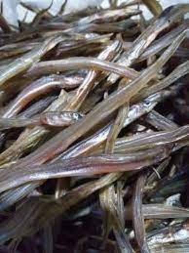 Khô cá loi choi hay còn gọi cá chình lãi đặc sản vựa khô tú sương 1kg