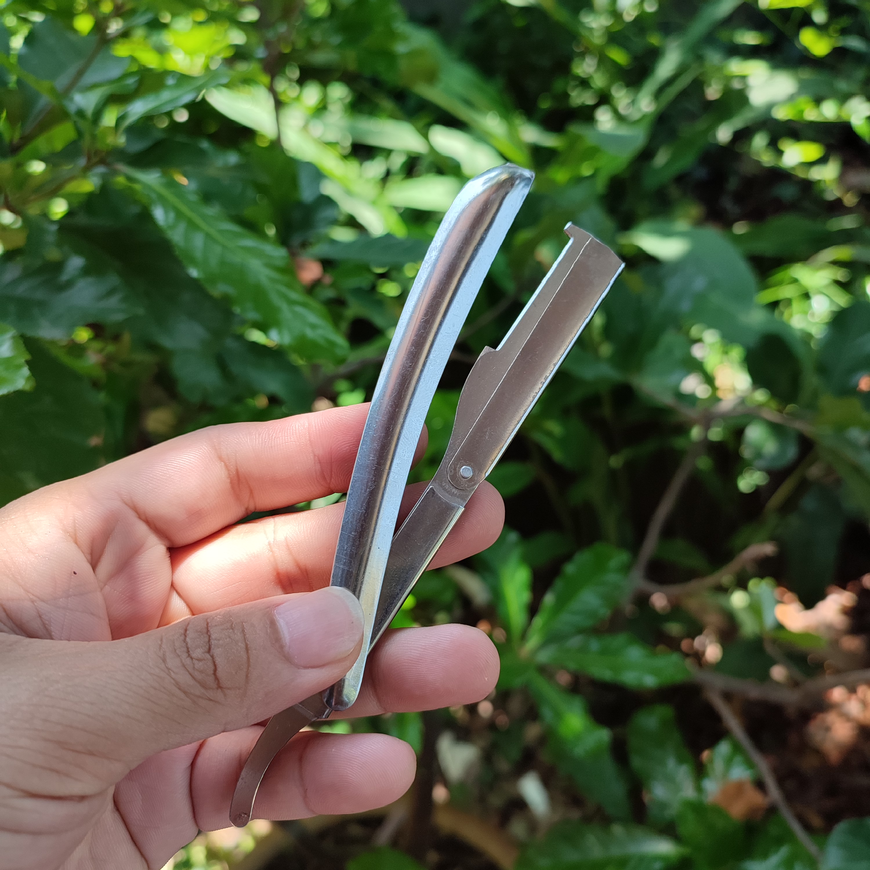 Dao cạo lông mặt- cạo râu cán inox (THANH SƠN)