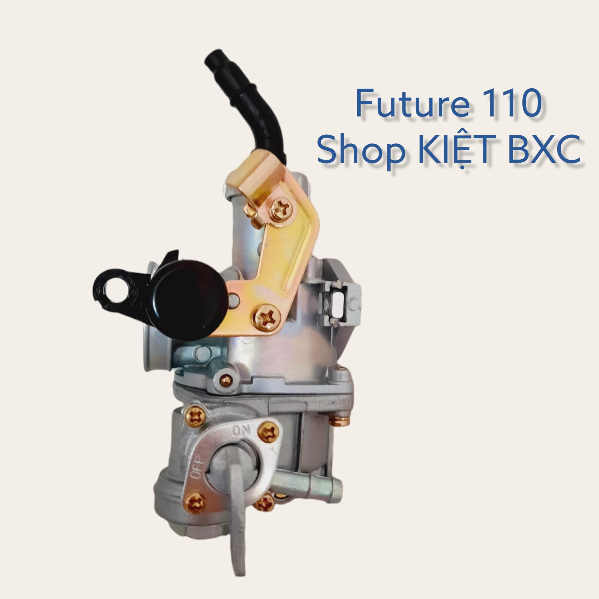 Bộ chế hòa khí : Future 110
