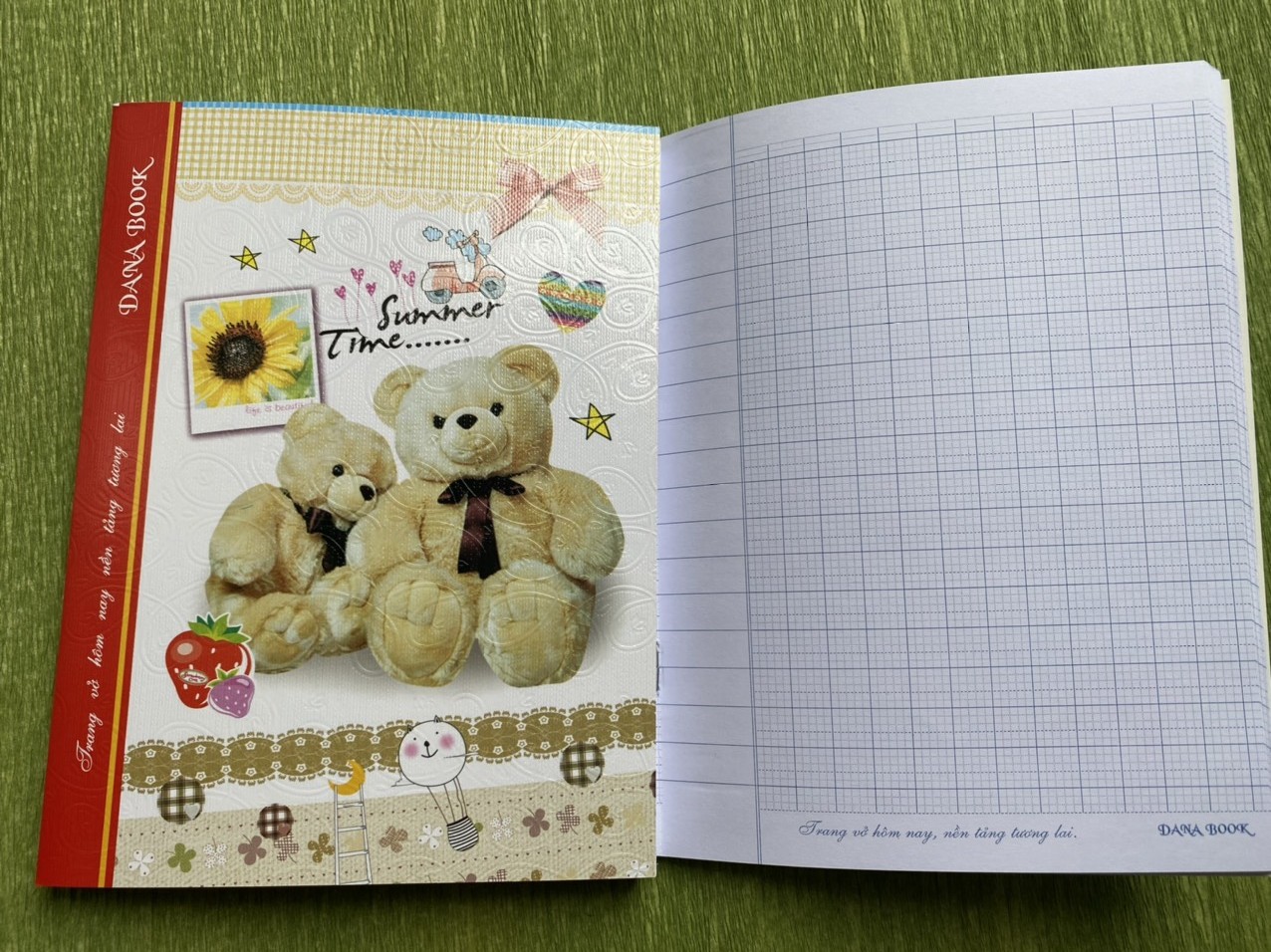 Lốc 10 cuốn tập danabook 5 ô ly ,4 ô ly 200 trang,định lượng 80g/m2 loại giấy dày và đẹp