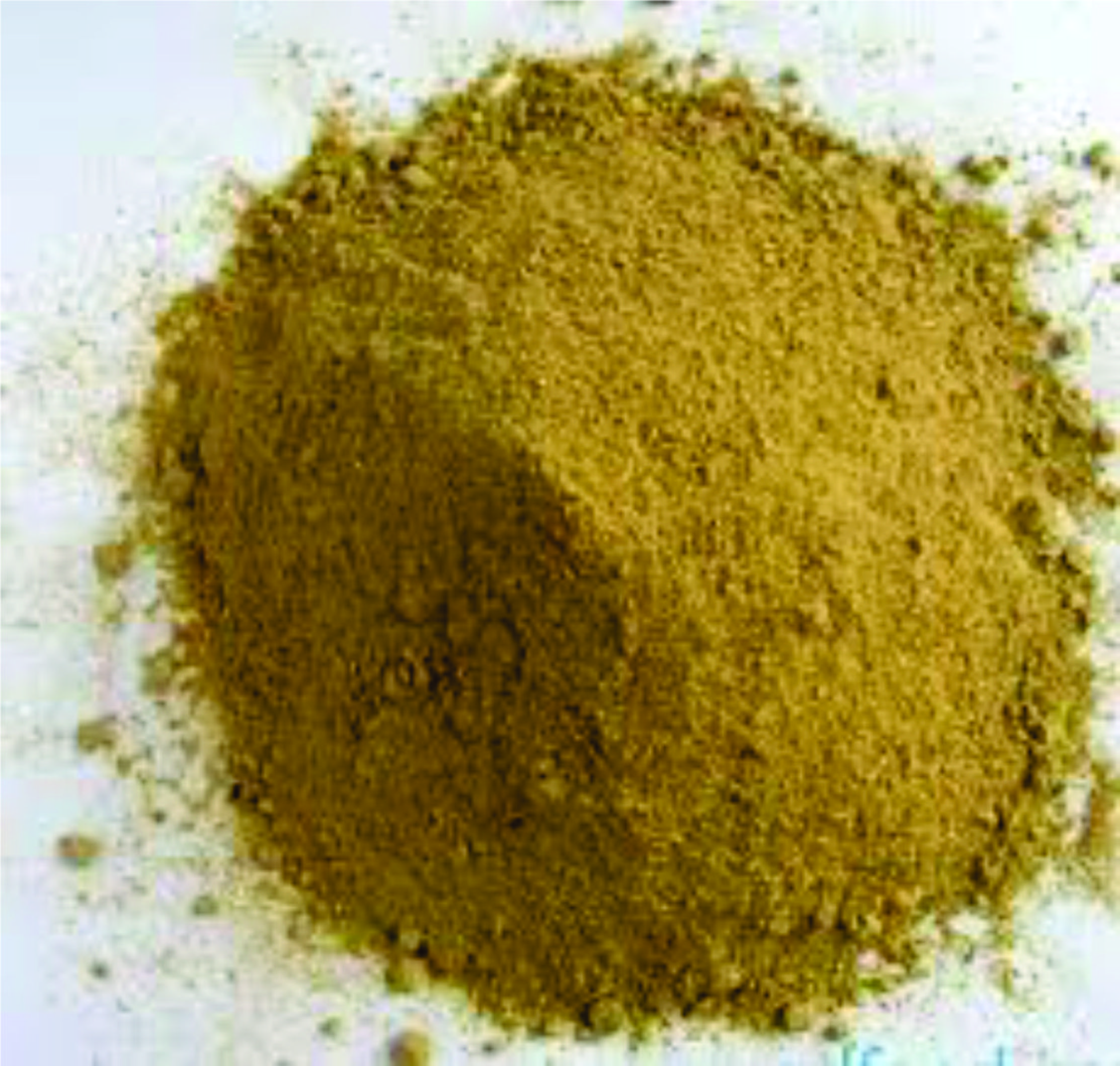 1Kg Cám Siêu Tanh
