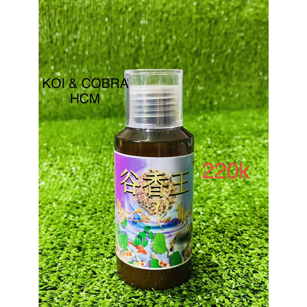 Tinh mùi câu cá - ngũ cốc lúa mạch - thật thạch ngư laoma