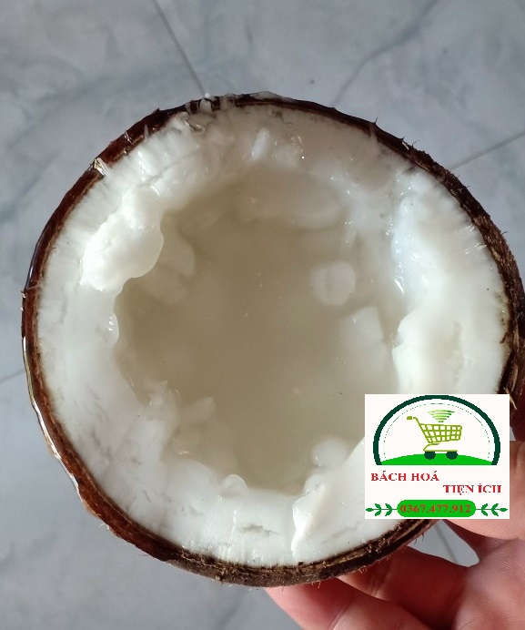 500gr MỨT DỪA SÁP LOẠI 2