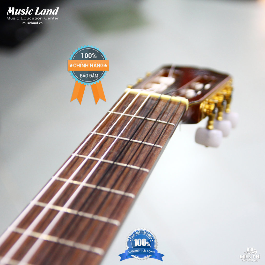 Dây Đàn Guitar Classic D'Addario EJ49 - Chính Hãng