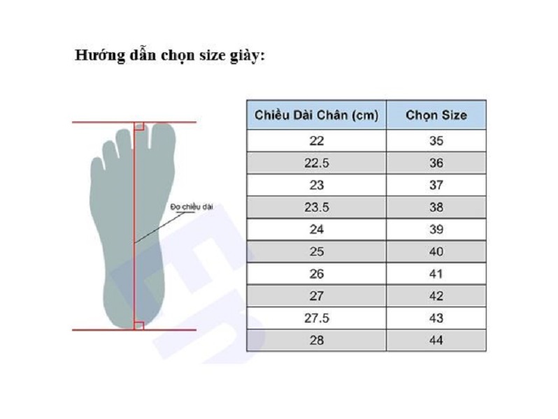 Giày bệt mũi nhọn da lì nơ lụa đế cao su dẻo êm chân-B34