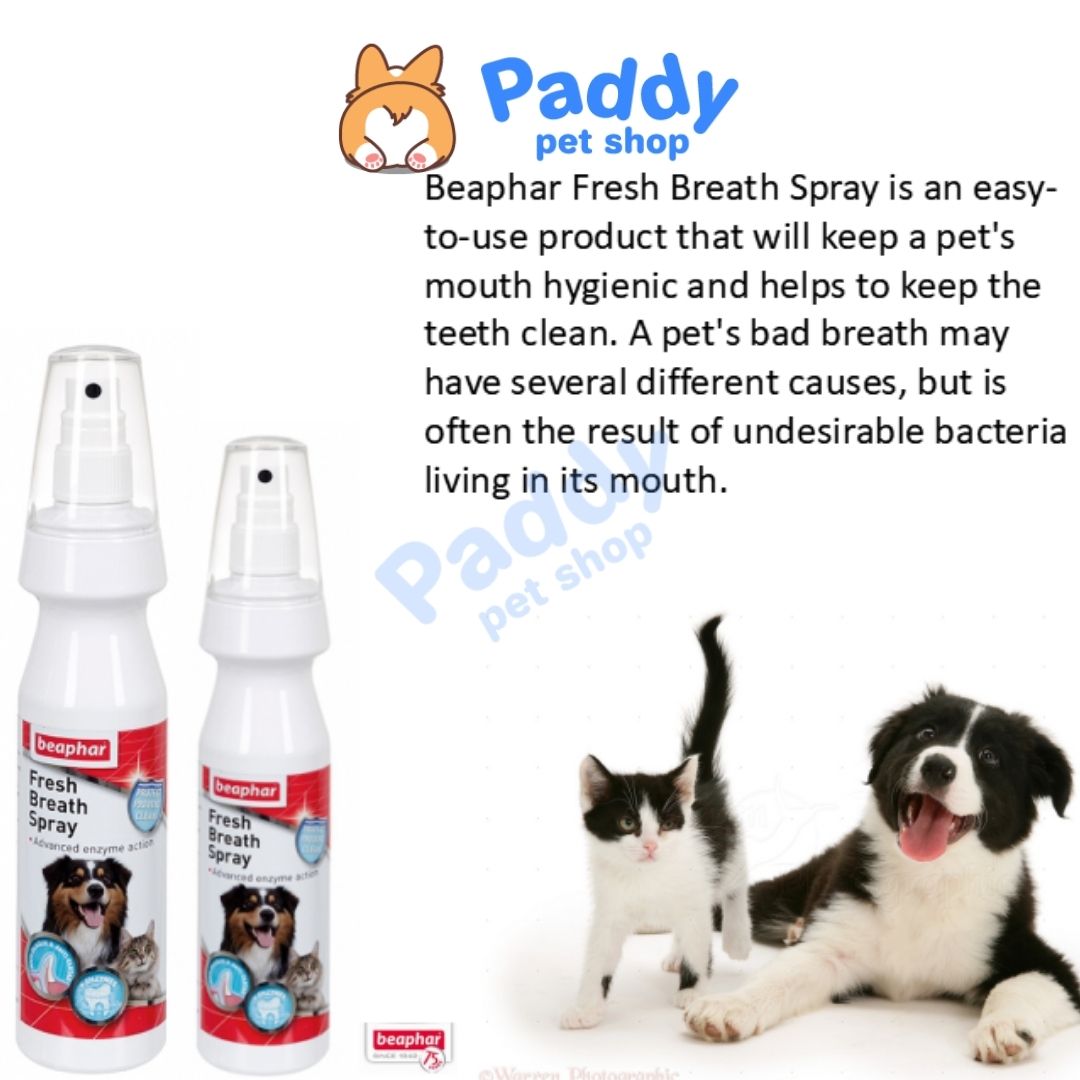[HCM]Xịt Vệ Sinh Răng Miệng Chó Mèo Beaphar Fresh Breath 150ml