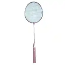 ภาพขนาดย่อของภาพหน้าปกสินค้าTH BE ALONE Double alloy badminton racket sle for beginners Professional game use home game party game Available in two colors pink, blue จากร้าน TH BE ALONE บน Lazada ภาพที่ 3