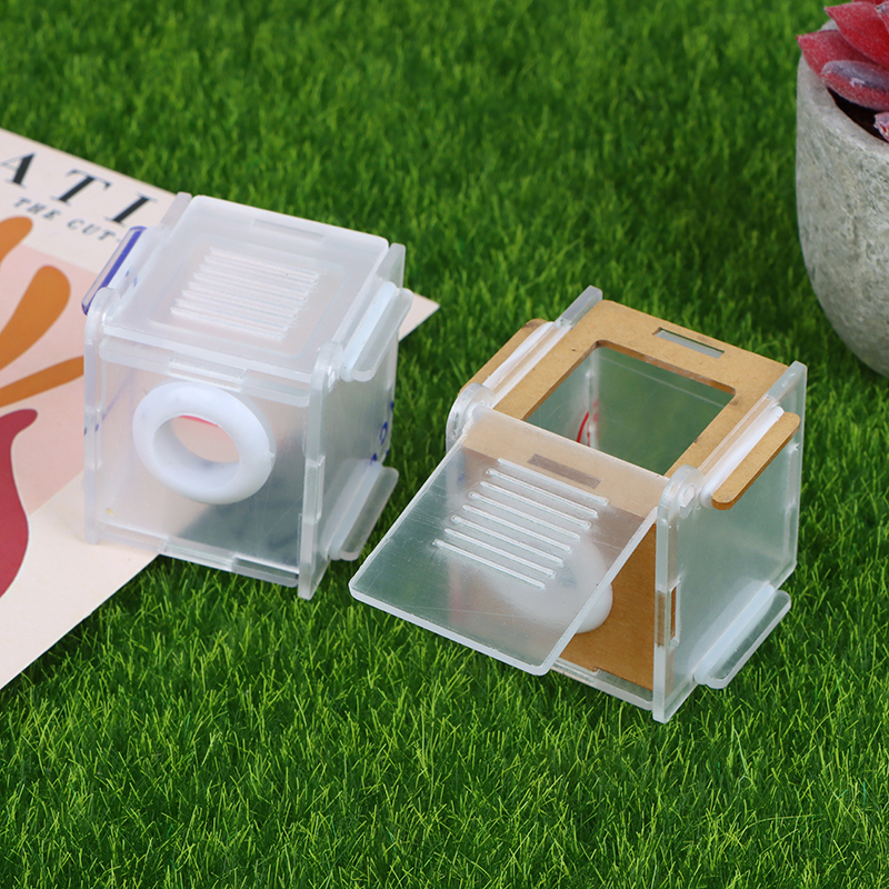 Acrylic%20High%20Transparent%20Ant%20Activity%20Area%20Test%20Tube%20Connection%20Nest%20DIY%20Ant%20Farm%20Feeding%20Box%2015/18mm%20Caliber%20Test%20Tube%20Nest%20-%20Image%208