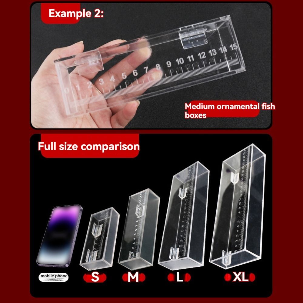 Shell Viewing Box Aquarium Transparent Fish Viewing Box Mini Rectangle Desktop Goldfish ...