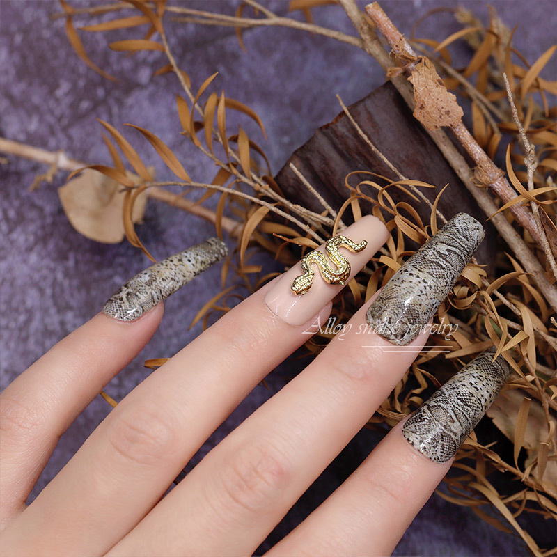 Charm Rắn Cổ Điển Trang Trí Móng