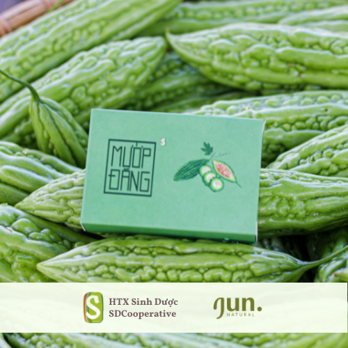 Xà bông MƯỚP ĐẮNG - TRÀM TRÀ 100g