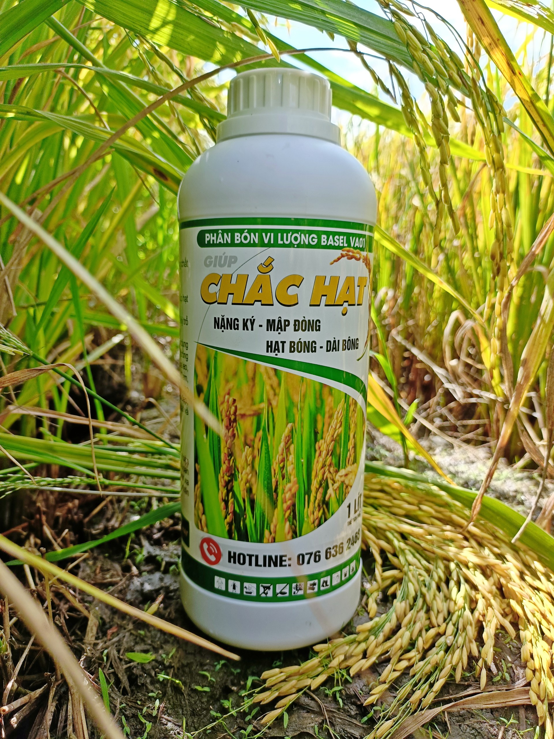 Phân bón lá chắc hạt chai 1 lít, hạn chế lem lép lúa , cứng cây xanh lá đòng