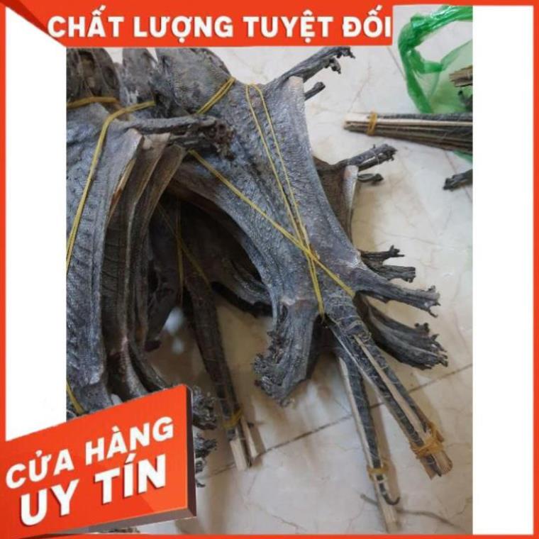 tắc kè khô nguyên con