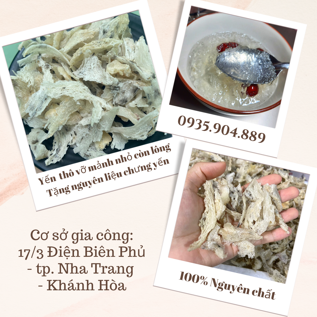 Tổ yến thô vỡ - Tặng nhíp và nguyên liệu chưng - Yến Sào thô vỡ nhỏ nguyên chất 100%