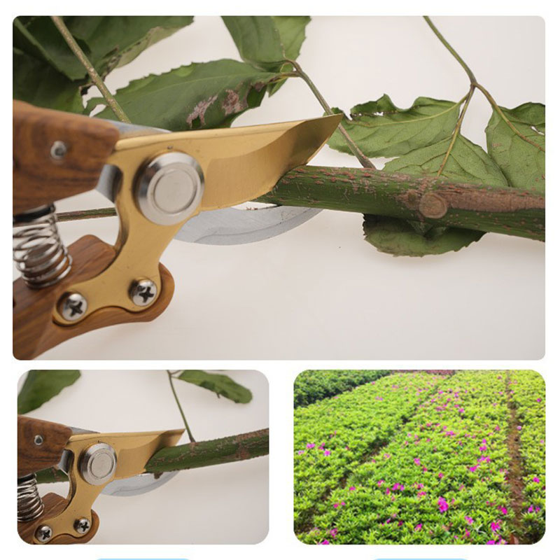 Wood grain handle pruning scissors Garden scissors Bonsai pruning scissors Flower branch thick branch gardening scissors