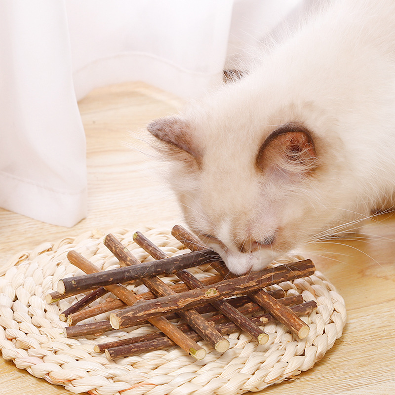 Que Gỗ Catnip Bạc Hà Cho Mèo Gặm Trắng Răng